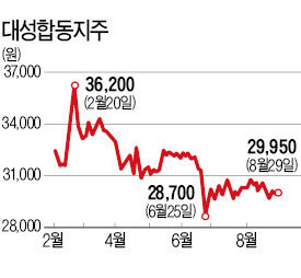 [마켓인사이트] 자회사 때문에 등골 휘는 대성합동지주