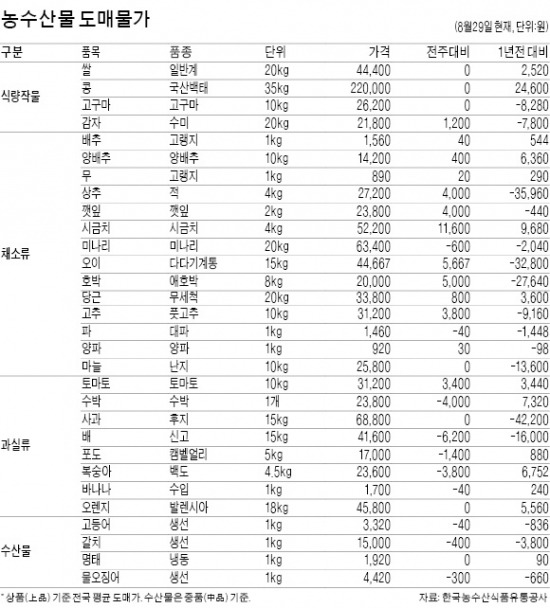 [농수산물 시세] 폭염·가뭄에…배추 10㎏ 60.2% 올라