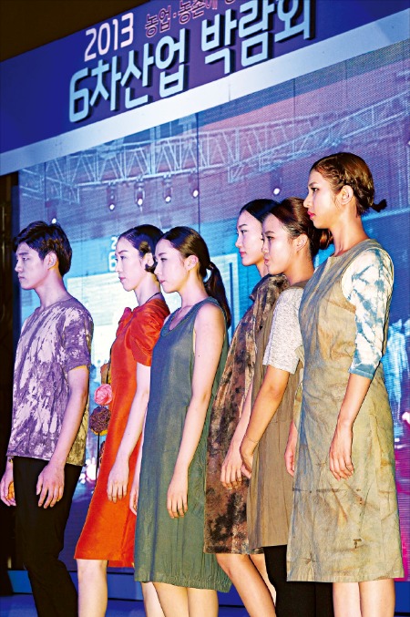 29일 일산 킨텍스에서 열린 ‘2013 6차산업박람회’에서 모델들이 영천시 천연염색의상으로 패션쇼를 펼치고 있다.  /허문찬 기자sweat@hankyung.com