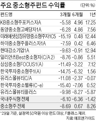 중소형주펀드 올 수익률 다 까먹을 판