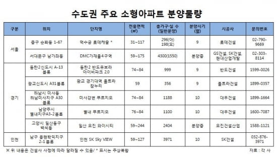 8·28 전∙월세대책 수혜주 ‘소형아파트’ 주목