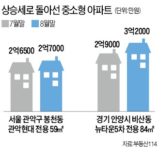 8·28 효과?…중소형 '집값 바닥' 신호