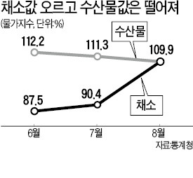 엇갈린 생활물가…배추 70%↑·고등어 5%↓