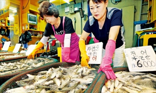 인천시 항동에 있는 인천종합어시장 상인들이 8일 제철을 맞은 전어를 팔고 있다. 일본 방사능 오염수에 대한 불안감으로 동해와 남해에서 잡히는 수산물 매출이 급감한 반면 서해안에서 잡히는 전어는 판매량이 크게 늘었다.  연합뉴스 