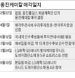 [마켓인사이트] 롯데, 웅진케미칼 인수 포기…그룹 M&A전략 변화