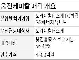 [마켓인사이트] 도레이첨단소재, 웅진케미칼 품었다