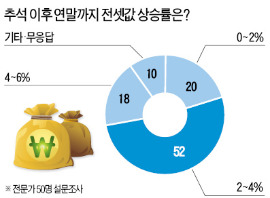 [부동산 전문가 긴급설문] 전문가 대다수 "전셋값 강세 연말까지 이어질 것"