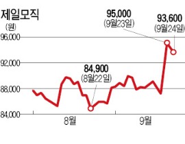 패션 떼어낸 제일모직 주가는