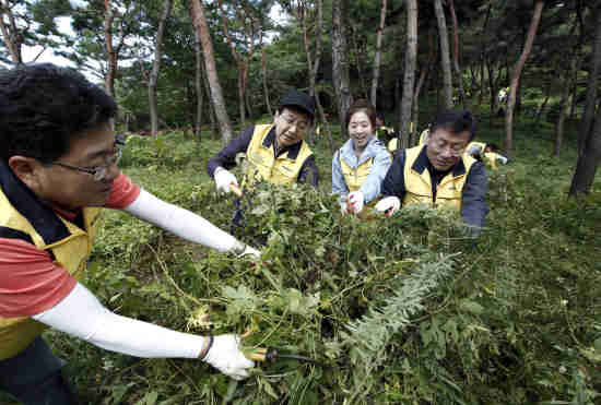 사진1.김동수 대림산업 사장(왼쪽 2번째)과 직원가족들이 가을을 맞아 서울 남산야외식물원에서 잡초 등을 제거하고 있다.