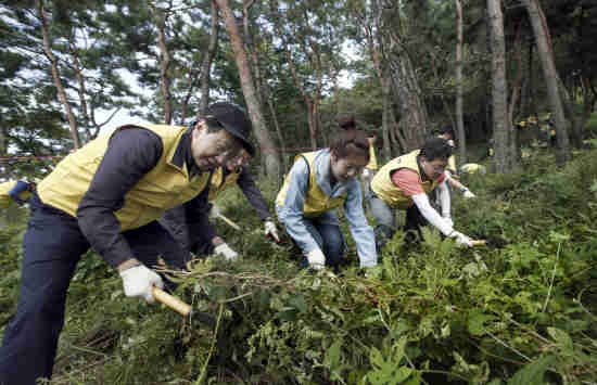 사진2.김동수 대림산업 사장(왼쪽 첫번째)과 직원가족들이 가을을 맞아 서울 남산야외식물원에서 잡초 등을 제거하고 있다.