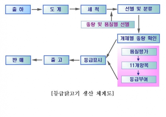 이마트, 업계 최초 '닭고기 등급제' 도입 진행 