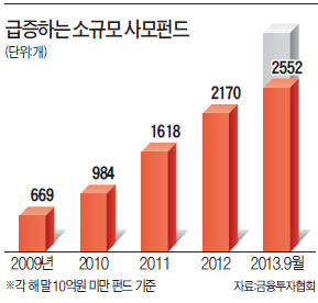 '땅꼬마 사모펀드' 급증…"수익도 바닥 길까" 우려