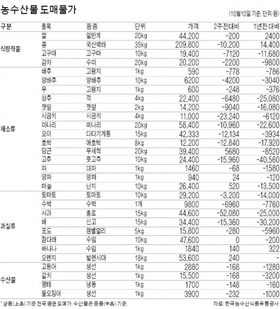 출하량 증가 대파, 가격 2012년보다 55% 내려