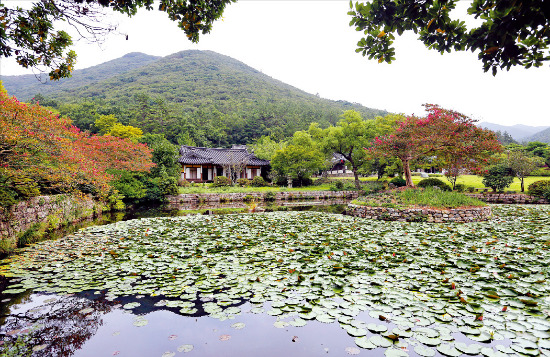 운림산방
 