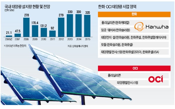 '태양광 빅2' 정반대 전략…어디에 볕들까