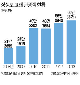 고래잡이 대신 고래관광…울산 장생포 '북적'