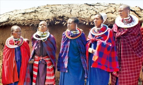 강렬한 원색의 옷과 화려한 장신구로 치장한 아프리카 마사이족 여인들. 《아프리카 대륙의 일대기》 저자는 “아프리카는 평균 키가 가장 큰 마사이족과 가장 작은 피그미족이 공존할 만큼 다양성이 풍부한 땅”이라고 설명한다. 서화동  기자