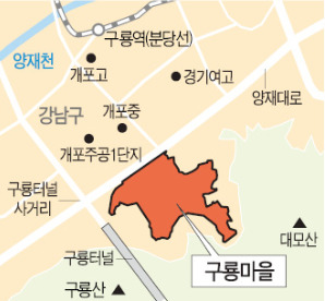 [구룡마을 개발방식 갈등] 서울시 갑작스런 '환지' 결정…승인권 쥔 강남구 6개월 지나 반발