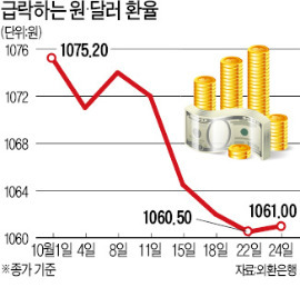 '환율 1050원 사수'…정부, 시장 개입 초강수