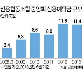 신협 출자금 이제 '안전빵' 아니다