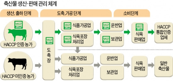 [건강한 인생] HACCP 인증 받은 축산물 안심하고 드세요