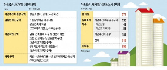 뉴타운·재개발 맞춤지원 본격화