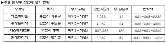 초보 투자자, 공실 위험없는 선임대 상가 '주목'