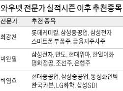 [3분기 실적시즌'중간 점검'] 조선·화학·철강·정유株 등 기대 못미쳐…車부품·2차전지株는 저가매수 기회 삼아야