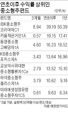 중소형펀드 올 수익률 평균 9%, 차익실현 할까