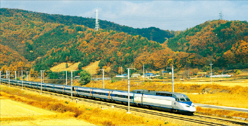 KTX 열차가 단풍을 배경으로 서대전역에서 내장산을 향해 달리고 있다.  /코레일 제공 