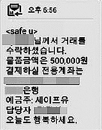 [단독] 이 감쪽같은 안전결제 문자…인터넷거래 신종 '먹튀 사기'