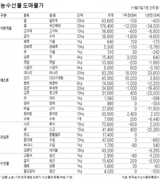 희비 엇갈린 통영…굴값 오르고 활어 떨어져