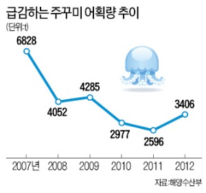 [낚시면허제 도입 논란] '주꾸미 라면' 인기에 어민들 한숨 "낚싯배가 중국어선만큼 무서워"