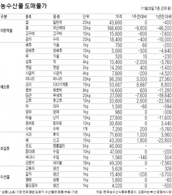 배추 도매가, 한달새 71% 올라