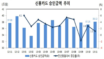 11월 체크카드 사용금액 8조4900억…최고치 경신 