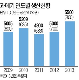 포항 경제, 과메기 덕분에 '신바람'