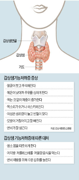 [이준혁 기자의 생생헬스] 유난히 추위 많이 타고 먹은 것 없이 살찐다면…갑상샘 이상 의심하세요