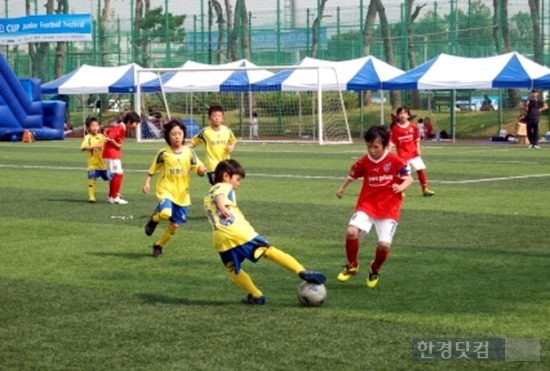 문화체육관광부(장관 유진룡)는 국민체육진흥공단, 지방자치단체 등과 함께 '2014 스포츠강좌 이용권사업'을 개시한다고 2일 밝혔다. 유정우 기자 seeyou@hankyung.com/사진= 한경DB