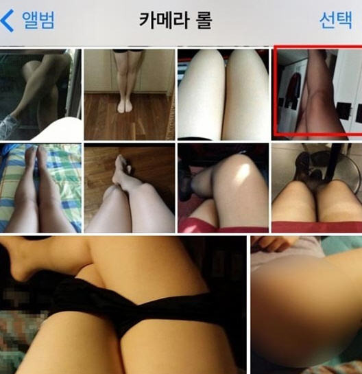 /온라인 커뮤니티