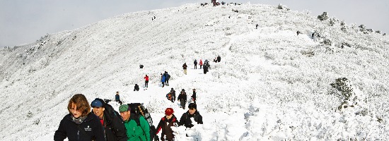 태백산 설경 