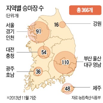 [커버 스토리-경마보다 승마] "골프 다음엔 승마"…'소득 3만弗 스포츠' 고삐 당긴다