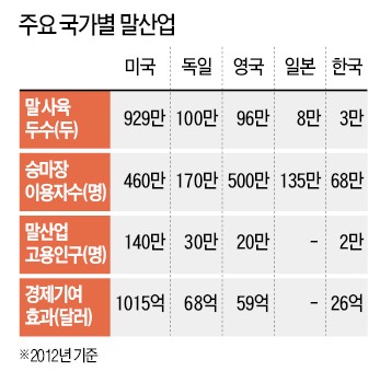 [커버 스토리-경마보다 승마] "골프 다음엔 승마"…'소득 3만弗 스포츠' 고삐 당긴다