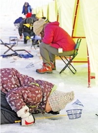 겨울 물고기 축제 평창·화천·인제