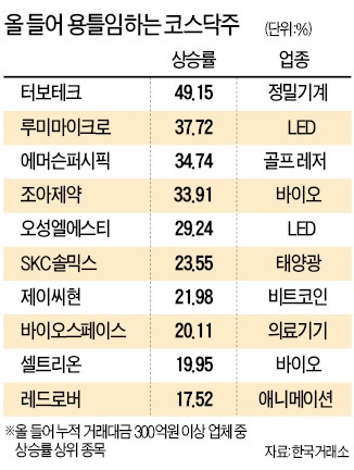 황소장은 아니지만 소걸음으로…코스닥만 1월 효과 '누려~'