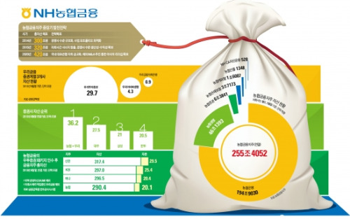 농협금융지주, '소매·지방 + 기업·대도시' 장점 합쳐 신성장동력 키운다