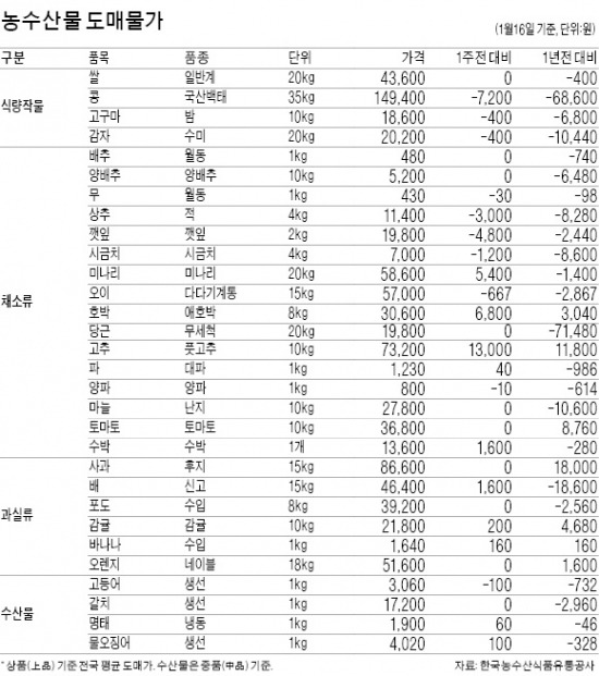 겨울 무 가격 1년새 50% 떨어져