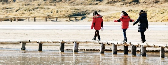 아이들이 영주 무섬마을 외나무다리를 건너고 있다. 한국관광공사 제공