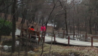 숙명여대 앞길, 명소 찾아가 봤더니 … 곳곳에 먹는 재미, 보는 재미 