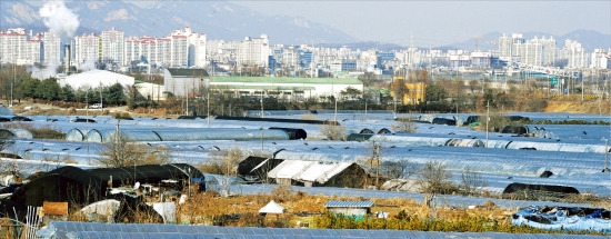 국토교통부가 사업 추진이 더딘 수도권 보금자리를 포함한 전국의 땅 287.22㎢를 6일부터 토지거래허가구역에서 해제한다. 사진은 해제 대상에 포함된 서울 강동구 고덕동 고덕강일보금자리지구 내 비닐하우스촌 일대. 신경훈 기자 nicerpeter@hankyung.com