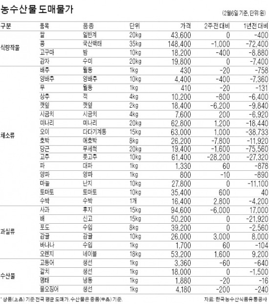 美 한파에 오렌지 가격 53% 급등